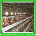 Porzellan beliebte und gute Qualität automatische Wasserrinnen für Hennen